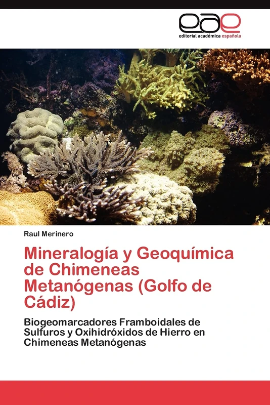 Mineralogía y Geoquímica de Chimeneas Metanógenas (Golfo de Cádiz): Biogeomarcadores Framboidales de Sulfuros y Oxihidróxidos de Hierro en Chimeneas Metanógenas - Image 1