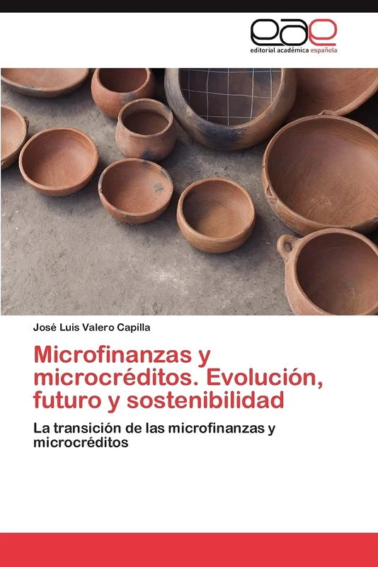 Microfinanzas y microcréditos. Evolución, futuro y sostenibilidad: La transición de las microfinanzas y microcréditos