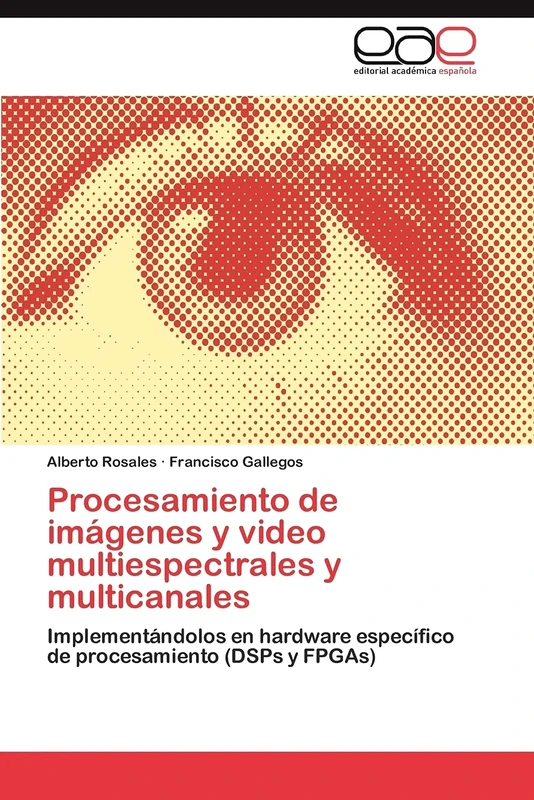 Procesamiento de imágenes y video multiespectrales y multicanales: Implementándolos en hardware específico de procesamiento (DSPs y FPGAs) - Image 1