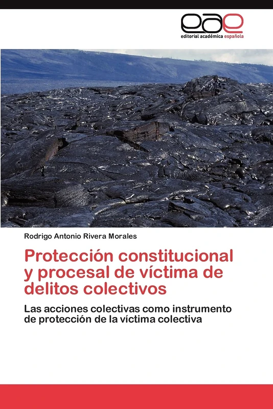 Protección constitucional y procesal de víctima de delitos colectivos: Las acciones colectivas como instrumento de protección de la víctima colectiva - Image 1