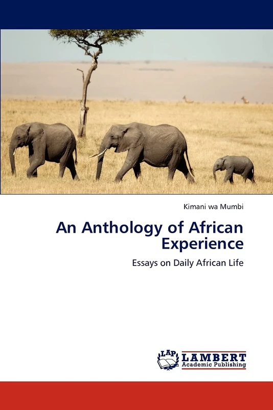 An Anthology of African Experience: Essays on Daily African Life - Image 1