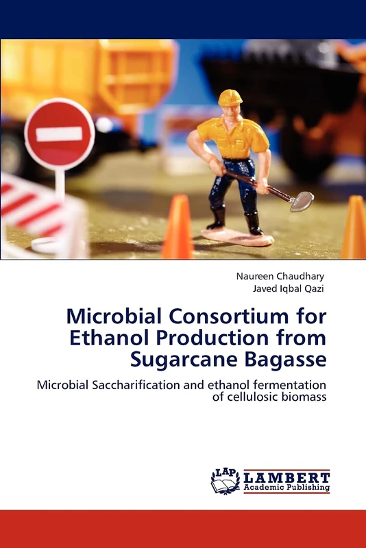 Microbial Consortium for Ethanol Production from Sugarcane Bagasse: Microbial Saccharification and ethanol fermentation of cellulosic biomass