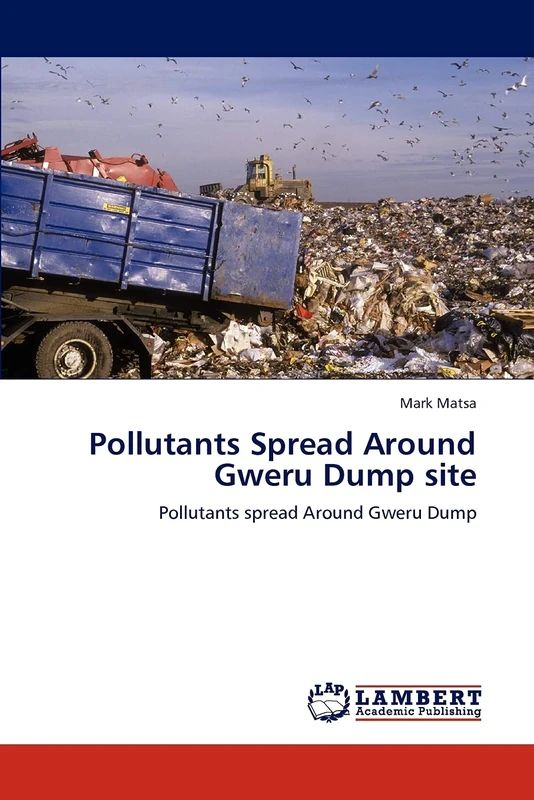 Pollutants Spread Around Gweru Dump site: Pollutants spread Around Gweru Dump - Image 1