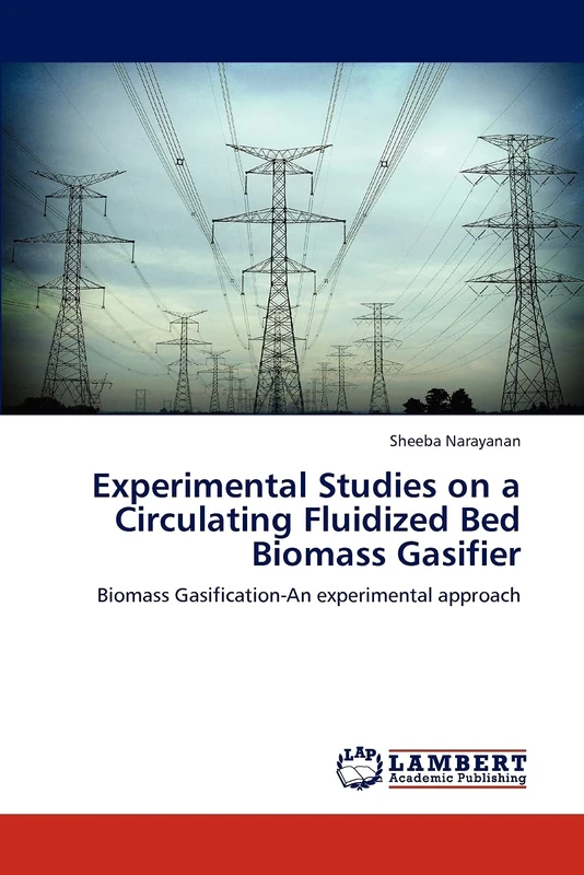 Experimental Studies on a Circulating Fluidized Bed Biomass Gasifier: Biomass Gasification-An experimental approach