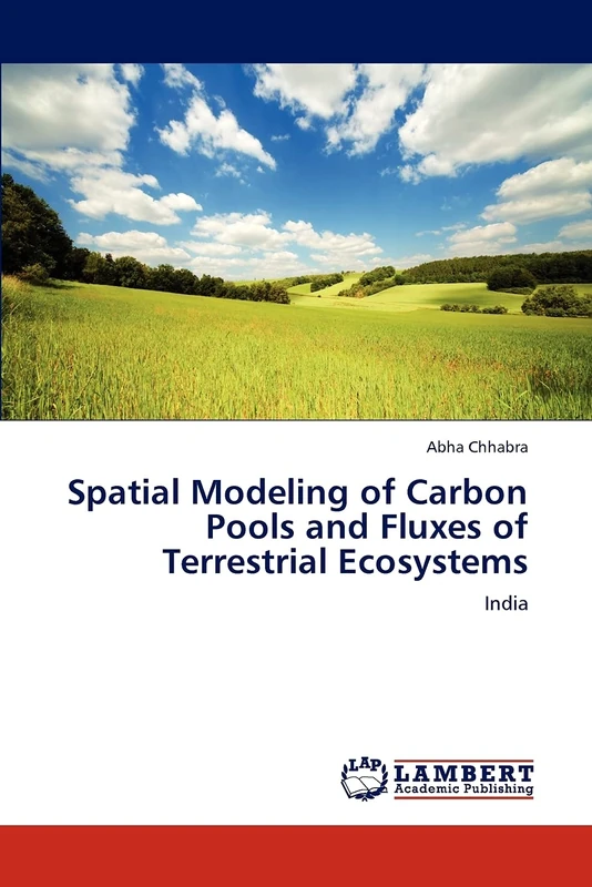 Spatial Modeling of Carbon Pools and Fluxes of Terrestrial Ecosystems: India