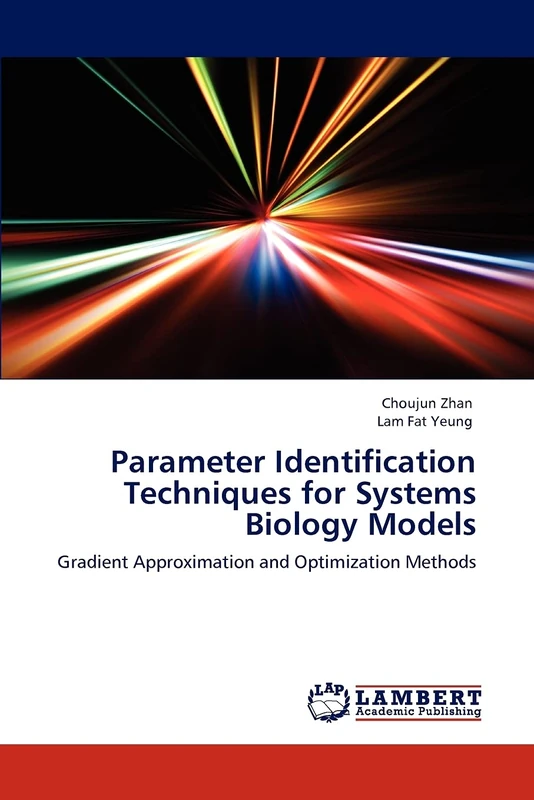 Parameter Identification Techniques for Systems Biology Models: Gradient Approximation and Optimization Methods