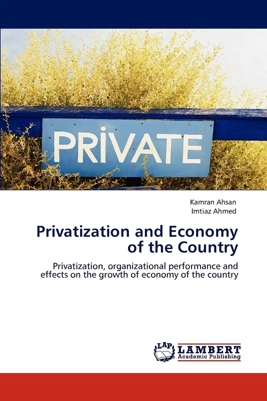 Privatization and Economy of the Country: Privatization, organizational performance and effects on the growth of economy of the country
