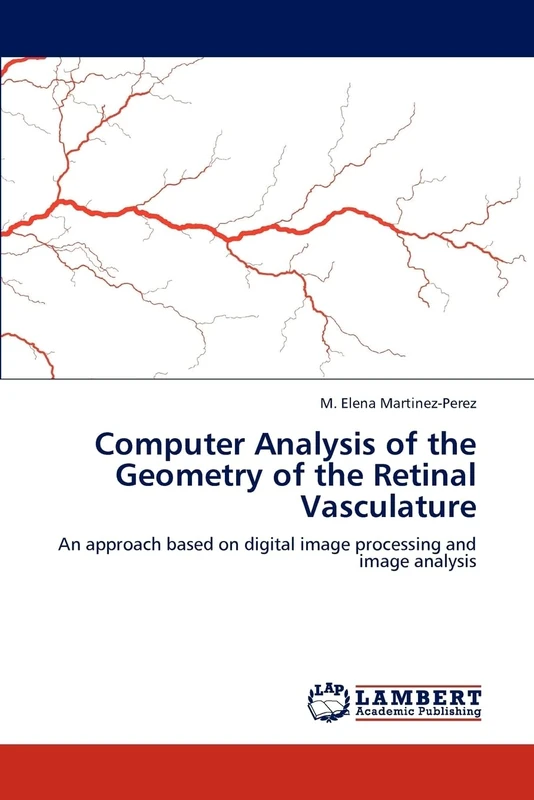 Computer Analysis of the Geometry of the Retinal Vasculature: An approach based on digital image processing and image analysis