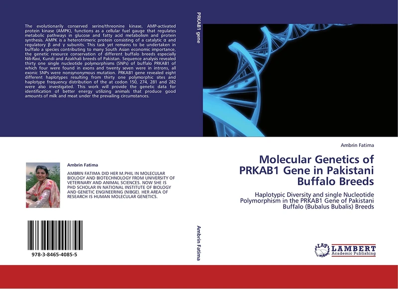 Molecular Genetics of PRKAB1 Gene in Pakistani Buffalo Breeds: Haplotypic Diversity and single Nucleotide Polymorphism in the PRKAB1 Gene of Pakistani Buffalo (Bubalus Bubalis) Breeds