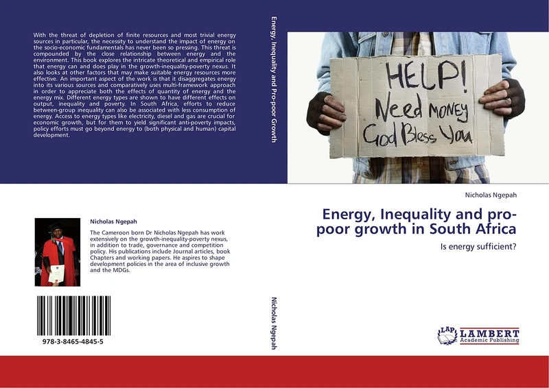 Energy, Inequality and pro-poor growth in South Africa: Is energy sufficient?