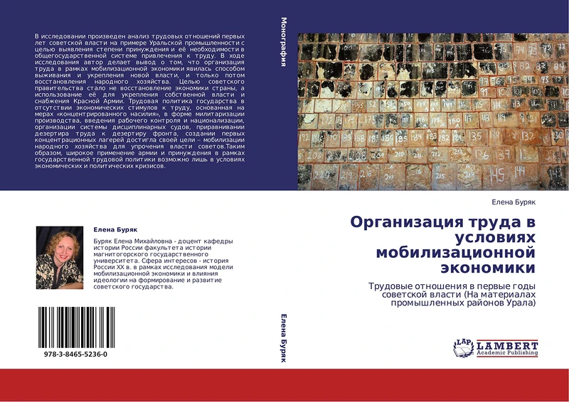 Organizatsiya truda v usloviyakh mobilizatsionnoy ekonomiki: Trudovye otnosheniya v pervye gody sovetskoy vlasti (Na materialakh promyshlennykh rayonov Urala) - Image 1