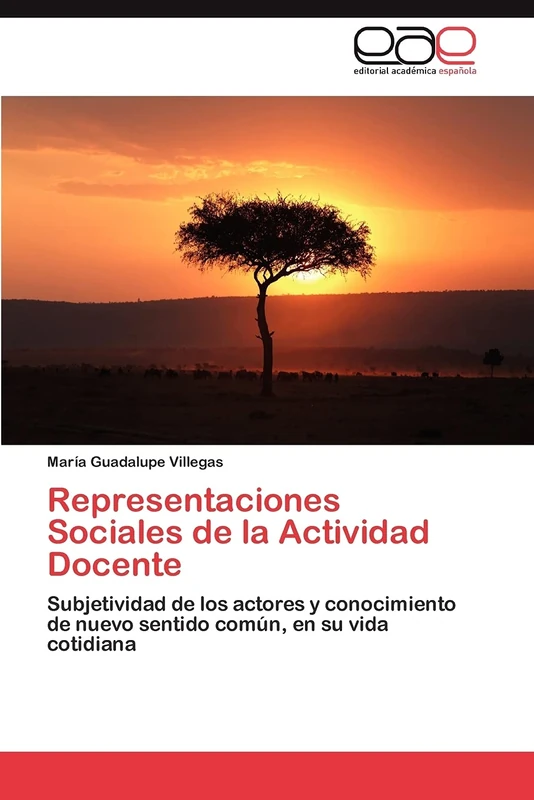 Representaciones Sociales de la Actividad Docente: Subjetividad de los actores y conocimiento de nuevo sentido común, en su vida cotidiana
