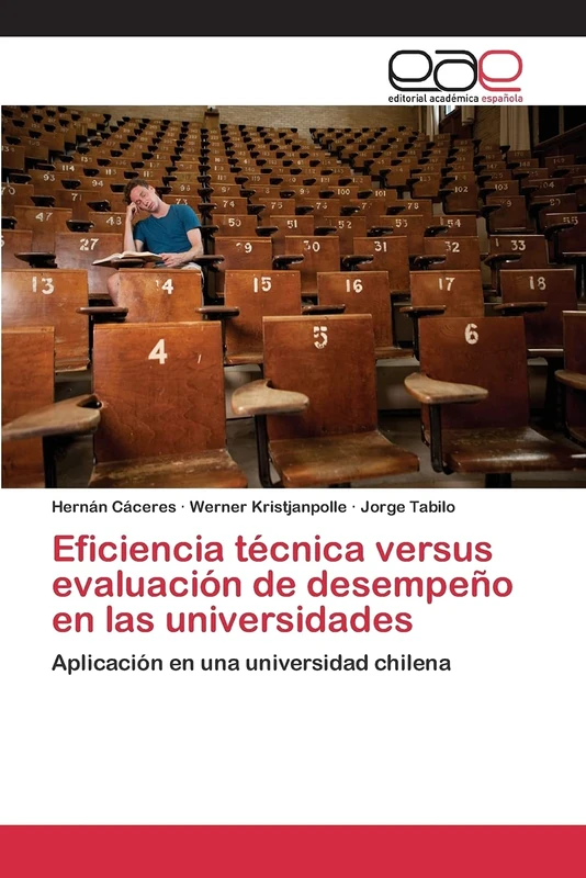 Eficiencia técnica versus evaluación de desempeño en las universidades: Aplicación en una universidad chilena - Image 1