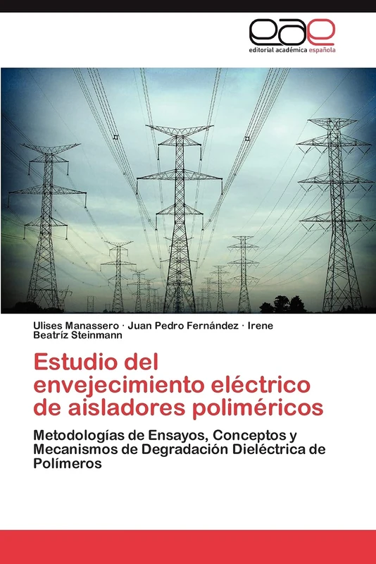 Estudio del envejecimiento eléctrico de aisladores poliméricos: Metodologías de Ensayos, Conceptos y Mecanismos de Degradación Dieléctrica de Polímeros - Image 1