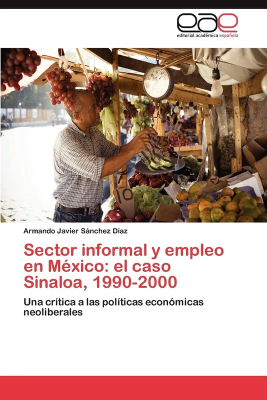 Sector informal y empleo en México: el caso Sinaloa, 1990-2000: Una crítica a las políticas económicas neoliberales