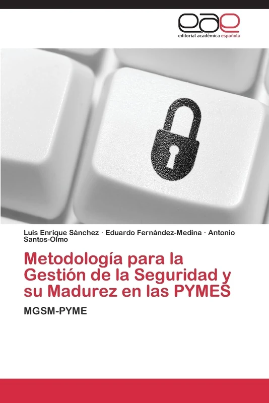Metodología para la Gestión de la Seguridad y su Madurez en las PYMES: MGSM-PYME