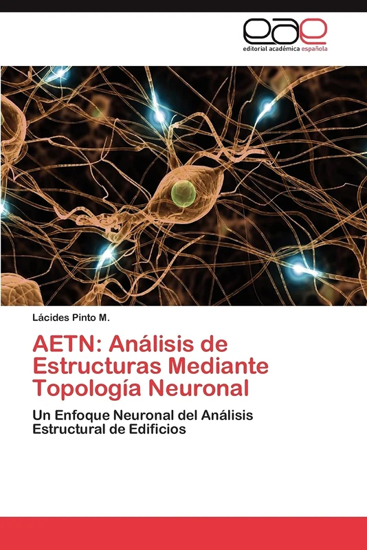 AETN: Análisis de Estructuras Mediante Topología Neuronal: Un Enfoque Neuronal del Análisis Estructural de Edificios - Image 1