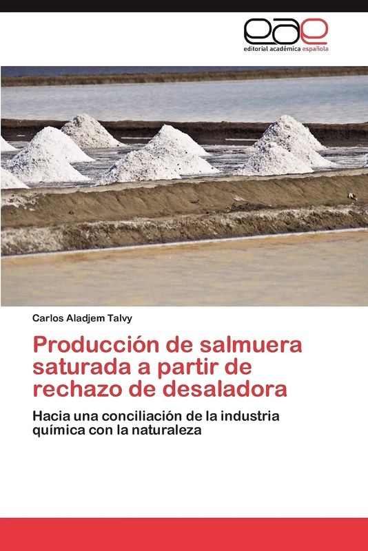Producción de salmuera saturada a partir de rechazo de desaladora: Hacia una conciliación de la industria química con la naturaleza - Image 1
