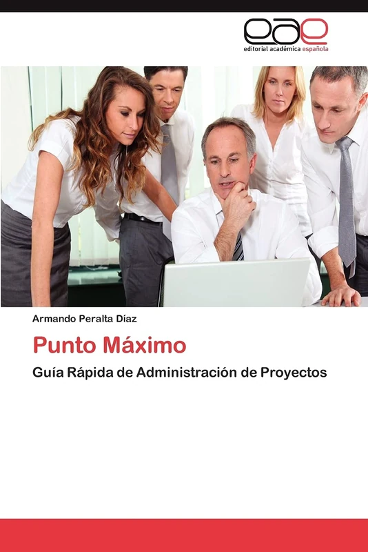Punto Máximo: Guía Rápida de Administración de Proyectos - Image 1