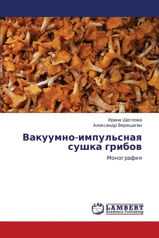 Vakuumno-impul'snaya sushka gribov: Monografiya - Image 1