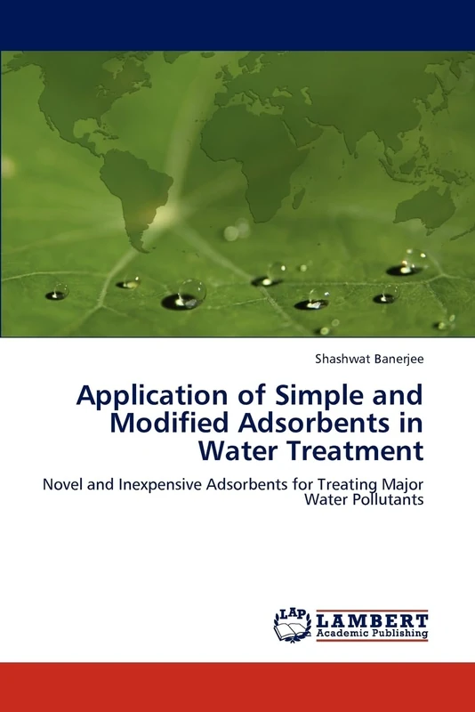 Application of Simple and Modified Adsorbents in Water Treatment: Novel and Inexpensive Adsorbents for Treating Major Water Pollutants