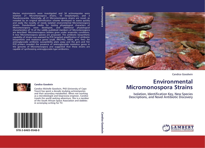Environmental Micromonospora Strains: Isolation, Identification Key, New Species Descriptions, and Novel Antibiotic Discovery