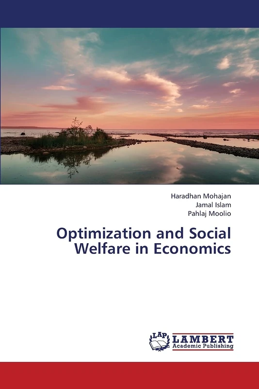 Optimization and Social Welfare in Economics
