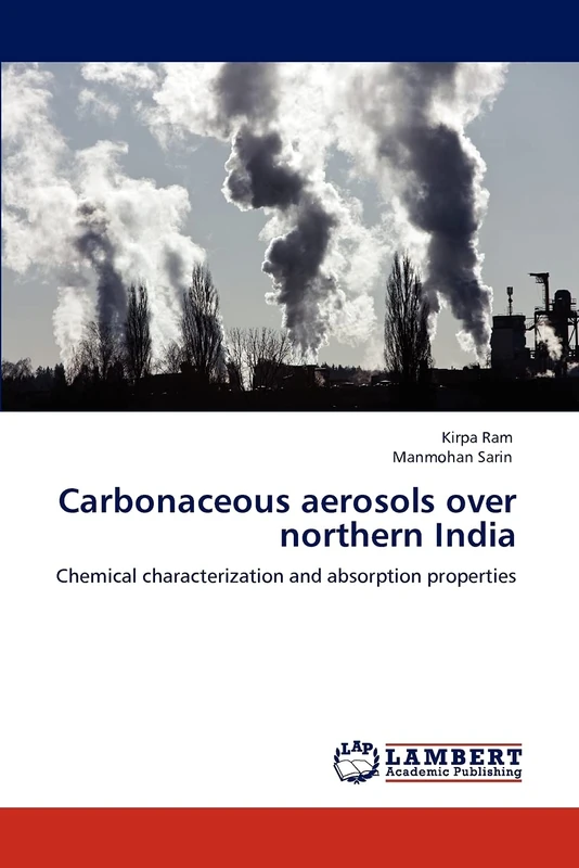 Carbonaceous aerosols over northern India: Chemical characterization and absorption properties
