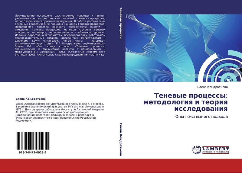 Tenevye protsessy: metodologiya i teoriya issledovaniya: Opyt sistemnogo podkhoda