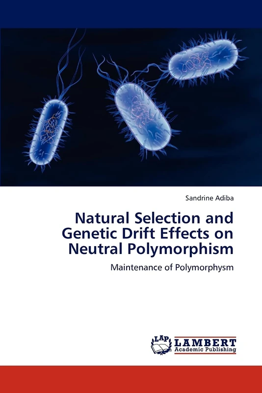 Natural Selection and Genetic Drift Effects on Neutral Polymorphism: Maintenance of Polymorphysm