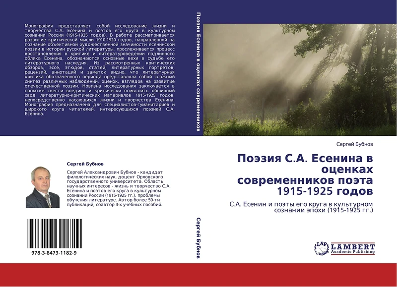 Poeziya S.A. Esenina v otsenkakh sovremennikov poeta 1915-1925 godov: S.A. Esenin i poety ego kruga v kul'turnom soznanii epokhi (1915-1925 gg.)