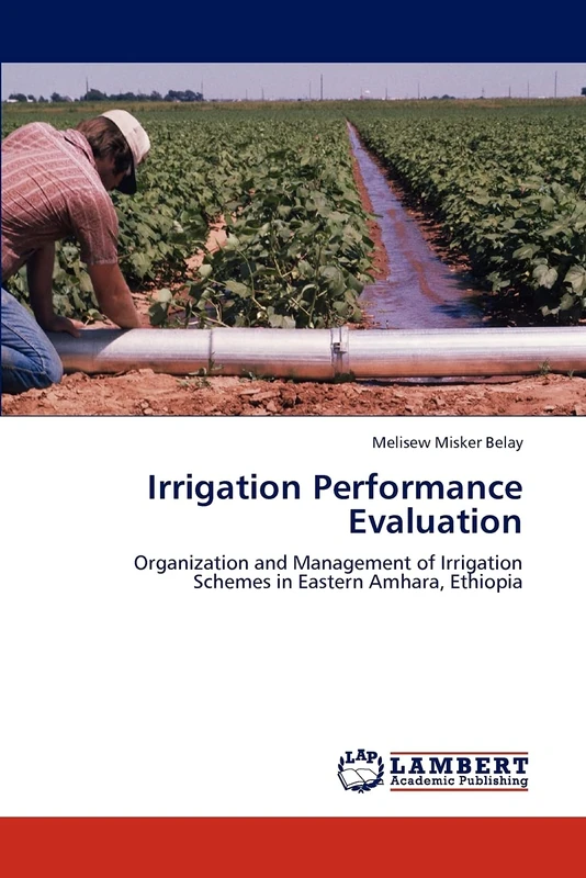 Irrigation Performance Evaluation: Organization and Management of Irrigation Schemes in Eastern Amhara, Ethiopia - Image 1