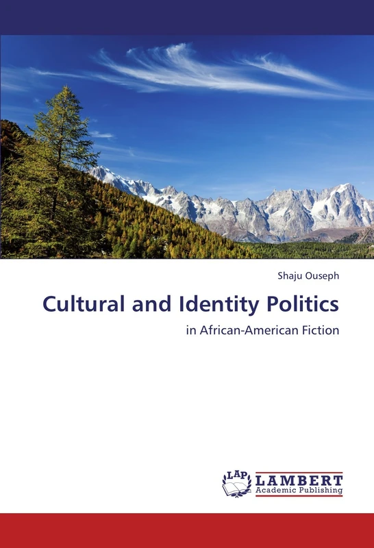 Cultural and Identity Politics: in African-American Fiction