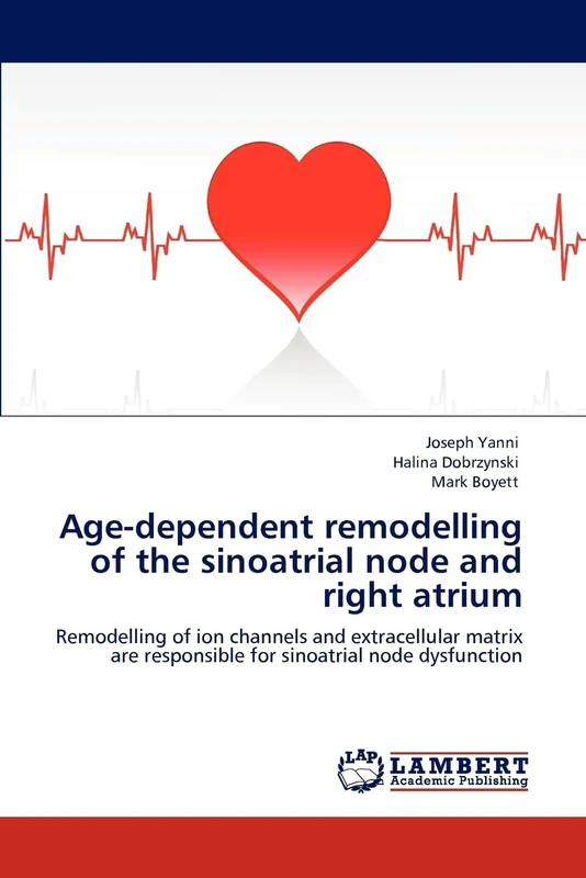 Age-dependent remodelling of the sinoatrial node and right atrium: Remodelling of ion channels and extracellular matrix are responsible for sinoatrial node dysfunction - Image 1