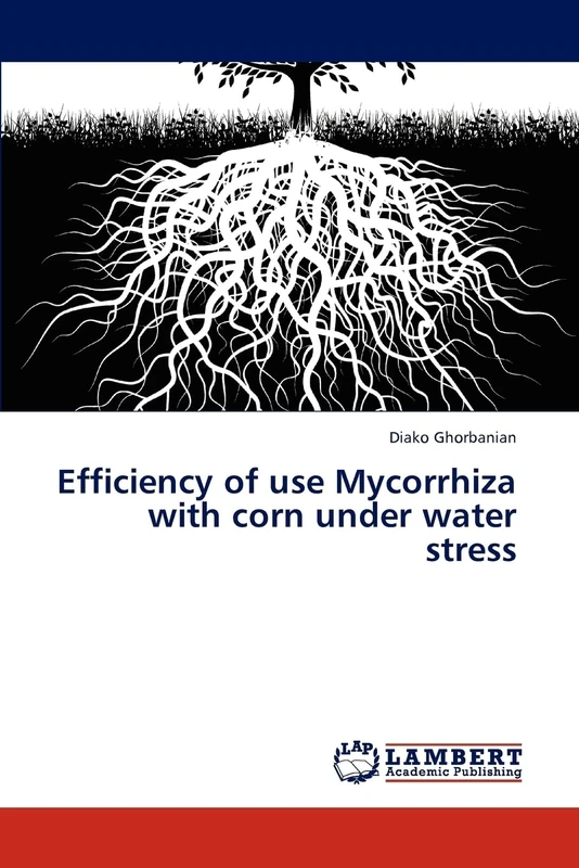 Efficiency of use Mycorrhiza with corn under water stress