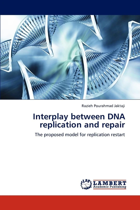 Interplay between DNA replication and repair: The proposed model for replication restart