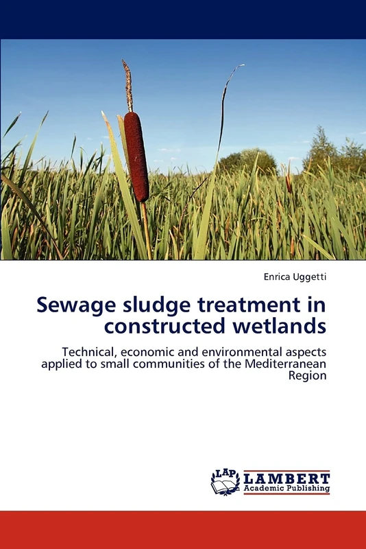 Sewage sludge treatment in constructed wetlands: Technical, economic and environmental aspects applied to small communities of the Mediterranean Region