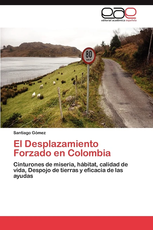 El Desplazamiento Forzado en Colombia: Cinturones de miseria, hábitat, calidad de vida, Despojo de tierras y eficacia de las ayudas - Image 1