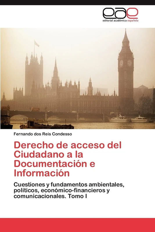 Derecho de acceso del Ciudadano a la Documentación e Información: Cuestiones y fundamentos ambientales, políticos, económico-financieros y comunicacionales. Tomo I - Image 1