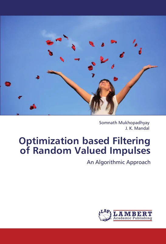 Optimization based Filtering of Random Valued Impulses: An Algorithmic Approach