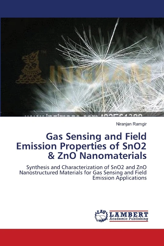 Gas Sensing and Field Emission Properties of SnO2 & ZnO Nanomaterials: Synthesis and Characterization of SnO2 and ZnO Nanostructured Materials for Gas Sensing and Field Emission Applications