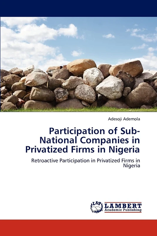 Participation of Sub-National Companies in Privatized Firms in Nigeria: Retroactive Participation in Privatized Firms in Nigeria