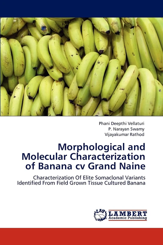 Morphological and Molecular Characterization of Banana cv Grand Naine: Characterization Of Elite Somaclonal Variants Identified From Field Grown Tissue Cultured Banana - Image 1