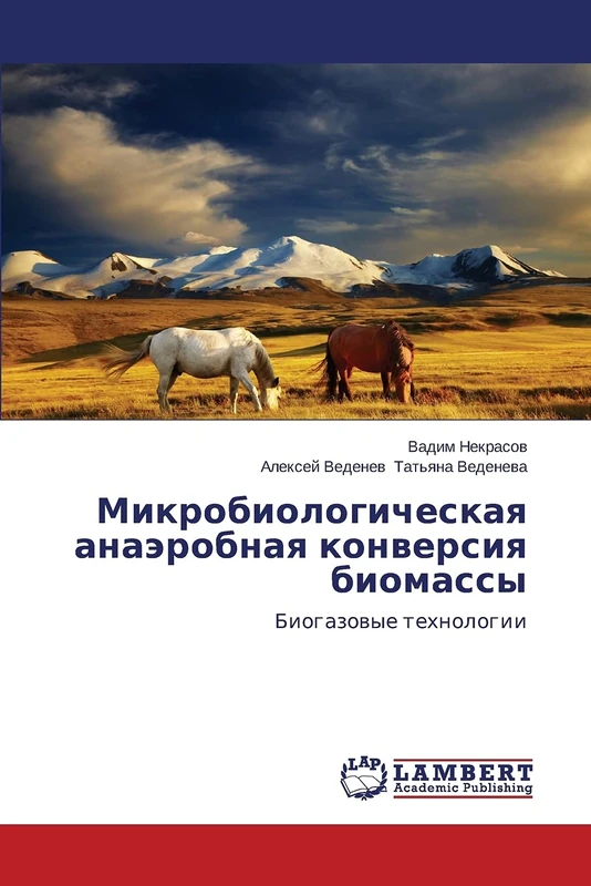 Mikrobiologicheskaya anaerobnaya konversiya biomassy: Biogazovye tekhnologii - Image 1