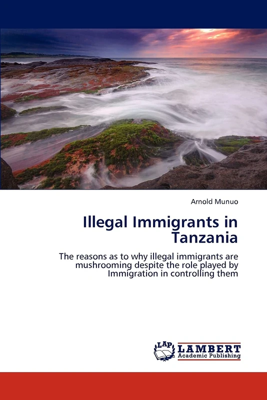 Illegal Immigrants in Tanzania: The reasons as to why illegal immigrants are mushrooming despite the role played by Immigration in controlling them - Image 1