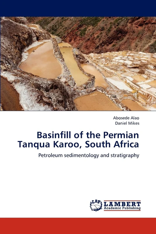 Basinfill of the Permian Tanqua Karoo, South Africa: Petroleum sedimentology and stratigraphy