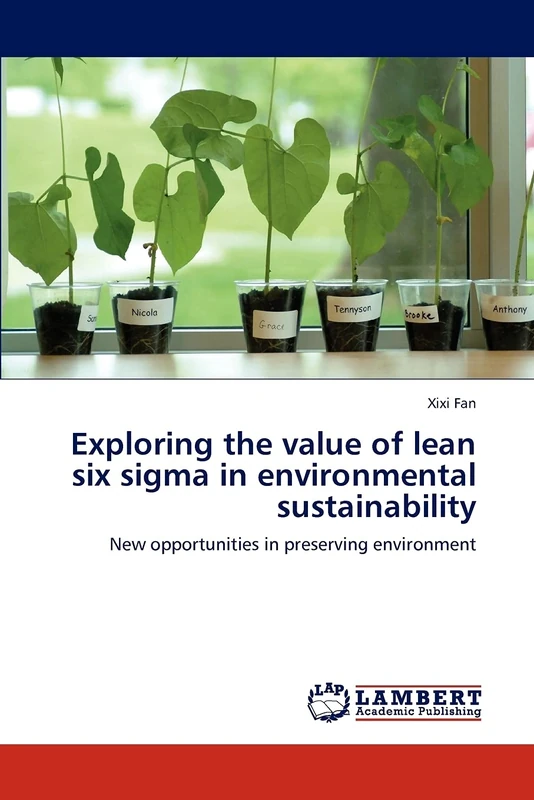 Exploring the value of lean six sigma in environmental sustainability: New opportunities in preserving environment