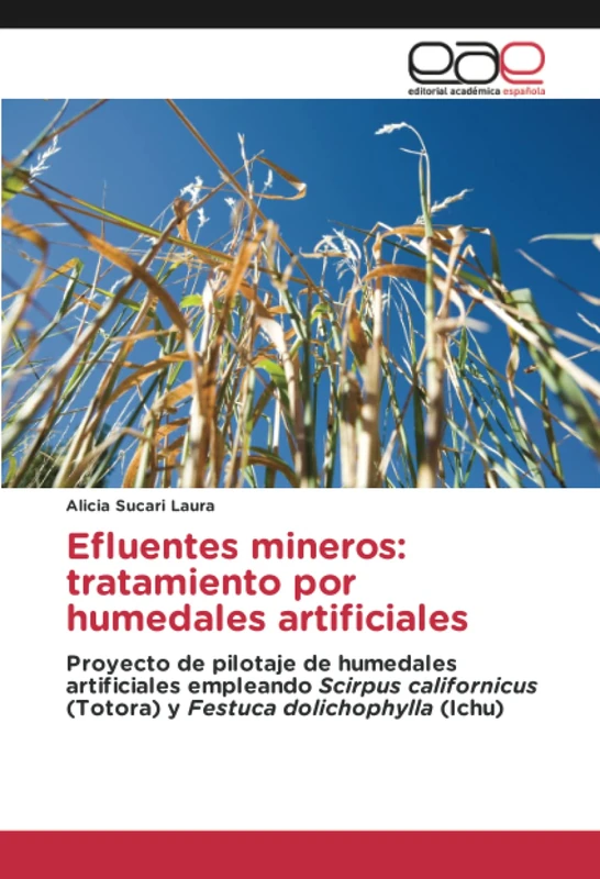 Efluentes mineros: tratamiento por humedales artificiales: Proyecto de pilotaje de humedales artificiales empleando Scirpus californicus (Totora) y Festuca dolichophylla (Ichu) - Image 1