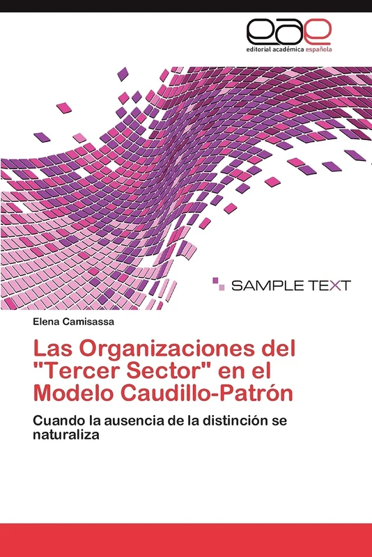 Las Organizaciones del "Tercer Sector" en el Modelo Caudillo-Patrón: Cuando la ausencia de la distinción se naturaliza