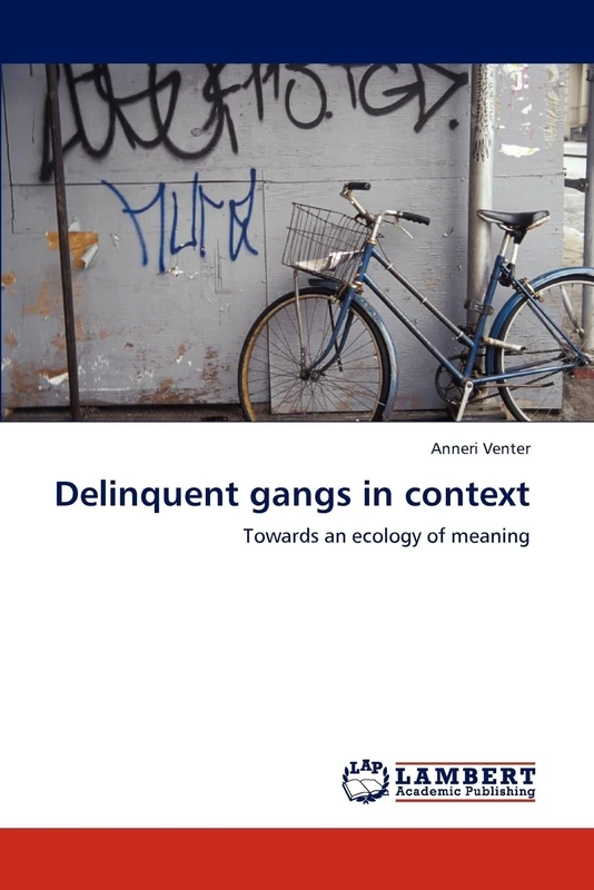 Delinquent gangs in context: Towards an ecology of meaning - Image 1
